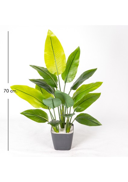 Saksıda Yapay Ağaç Starliçe Gerçek Dokulu 15 Yaprak Yeşil 63 Cm.