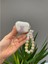 Airpods Pro Uyumlu Sevimli Figürlü Lüx Silikon Kılıf ( Kulaklık Dahil Değildir) 2