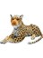 Luxix Dev Leopar Simülasyon Peluş Oyuncaklar 60 cm (Yurt Dışından) 1