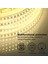 Suya Dayanıklı Beyaz LED Şerit 220V, Smd 5730 120LED/M LED Işık 5m Dış Mekan Şeridi, Ab Fişi ile Transformatöre Gerek Yoktur (Beyaz, 5) (Yurt Dışından) 5