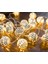 Fas LED Peri Işıkları - 5 Metre | Elektrik Fişi ile Pille Çalıştırılmaz | 50 LED Sıcak Beyaz | Küreler Oryantal | Deko Gümüş (Yurt Dışından) 2