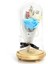 Fanus Gül 28/14CM Cam Fanus LED Işıklı Hediyelik 4