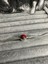 Gümüş S925 Damgalı Pokemon Topu (Poke Ball) Charm 5
