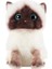 Siyam Kedisi Bebek Peluş Bebek Kedi Oyuncak Sevimli Kedi Bebek Sevimli Evcil Hayvan Ragdoll Kedi (Yurt Dışından) 1