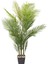 Yapay Ağaç Palmiye 23 Yaprak Yeşil 175 Cm. 1