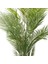 Yapay Ağaç Palmiye 23 Yaprak Yeşil 175 Cm. 2