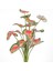 Yapay Bitki Caladium-Kaladyum Demet Gerçek Dokulu 18 Yaprak 46 Cm. 1