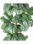Yapay Ağaç Ararot-Arrowroot Gerçek Dokulu 64 Yaprak Yeşil 120 Cm. 2