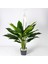 Yapay Bitki Spathiphyllum-Yelken Çiçeği Gerçek Dokulu Yeşil-Beyaz 70 1