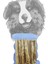 Bully Stick 500 gr - Dana Penisi 500 gr Süper Avantaj Paketi 1