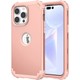  Renk Rose Gold