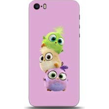 Phone Kılıf Apple iPhone Se Kılıf Hd Baskılı Kılıf - Followed Institution 0431