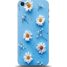 Phone Kılıf Apple iPhone 5 / 5s Kılıf Hd Baskılı Kılıf - Followed Institution 0170