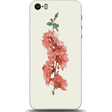 Phone Kılıf Apple iPhone 5 / 5s Kılıf Hd Baskılı Kılıf - Followed Institution 0346