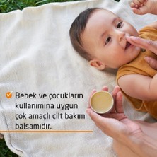 Weleda Calendula Organik Çok Amaçlı Balsam 25gr