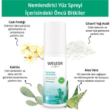 Weleda Cactus Organik Nemlendirici Yüz Spreyi 100ML