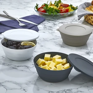 Bremen Home 3lü Plastik Mini Saklama Servis Kabı