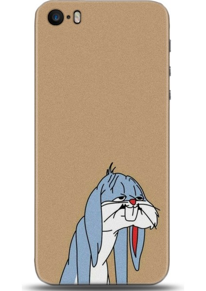 Apple iPhone 5 / 5s Kılıf Hd Baskılı Kılıf - Followed Institution 0194
