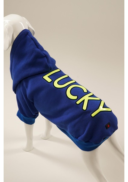 A40 Pet Lucky Kapüşonlu Içi Şardonlu Kedi ve Köpek Sweatshirt Hoodie Sax Mavi