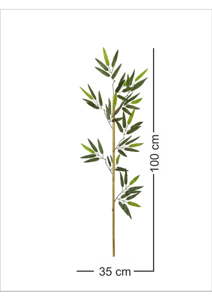 Bambu Çubuk Yapraklı Ekonomik 100/180CM 5li