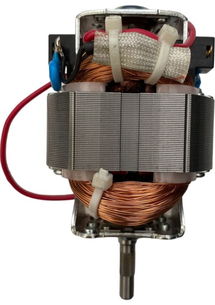 Arçelik K1632 Doğrayıcı Motoru