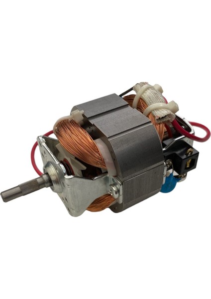 Arçelik K1632 Doğrayıcı Motoru