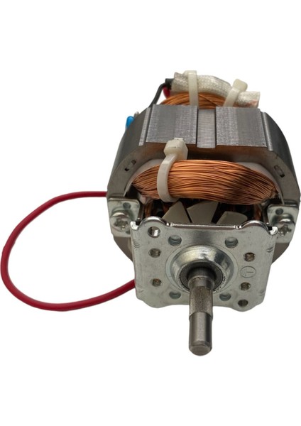 Arçelik K1632 Doğrayıcı Motoru