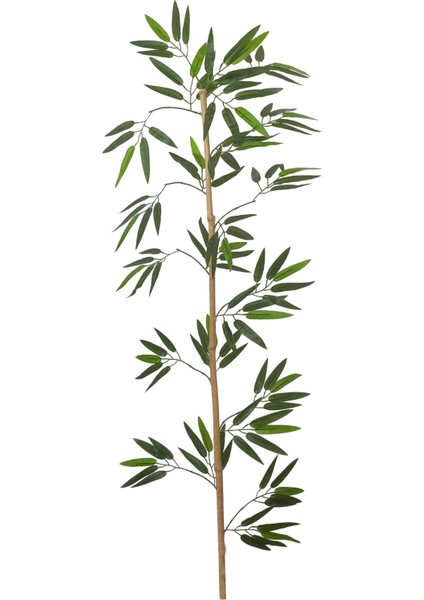 Bambu Çubuk Yapraklı Orijinal 100/180CM 5li