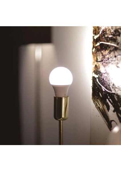 CT-4277 9W 220V E27 Duylu LED Ampul Beyaz modelleri