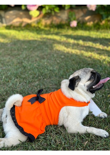 Kedi & Köpek Kıyafeti , Köpek Elbisesi , Kedi Elbisesi , Mavi Turuncu Sarı Elbise