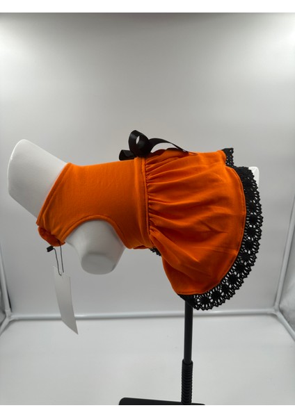 Kedi & Köpek Kıyafeti , Köpek Elbisesi , Kedi Elbisesi , Mavi Turuncu Sarı Elbise fırsatları