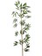 Bambu Çubuk Yapraklı Orijinal 100/180CM 5li 2