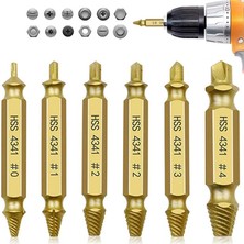 Dtools 6 D H Çıkrıcı Çıf Şlı Vid Ly Diş Kldırm Ornvid Ornvid I Kırık L L I (Yurt Dışından)