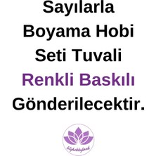 Lilyhobbyland Renkli Baskılı Sayılarla Boyama Hobi Seti (Çerçeveli) 40X50 Cm: Asil Atlar