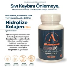 Ayosnet Glokozamin 1700 Mg 60 Adet