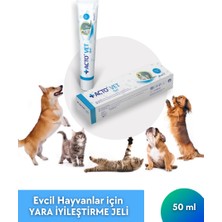 Acto® Vet Gel 50 ml | Evcil Hayvanlar Için Yara Iyileştirme Jeli