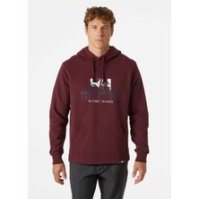 Helly Hansen Arctıc Ocean Hoodıe Kapişonlu