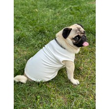  Mukada Köpek T-Shirt , Köpek Zincirli T-Shirt , Kedi Zincirli T-Shirt