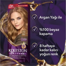 Wella Koleston Intense Saç Boyası 7/3 Fındık Kabuğu - Salon Kalitesi