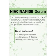 Wiwify Anti Akne Ton Eşitleyici Botanikal Kolajen Serum (niacinamide 5%+zınc Pca 1%)