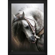 DB Sanat Hayvanlar Temalı Kanvas Tablo