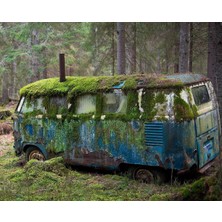 DB Sanat Mossy Old Volkswagen In The Forest
