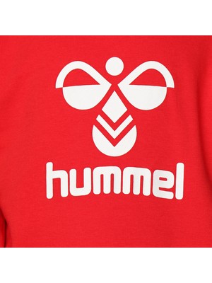 Hummel Ahrı Çocuk Hoodıe