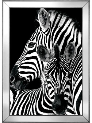 DB Sanat Hayvanlar Temalı Kanvas Tablo