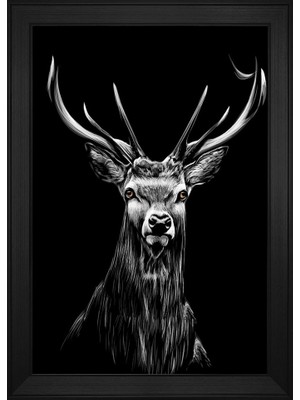 DB Sanat Hayvanlar Temalı Kanvas Tablo