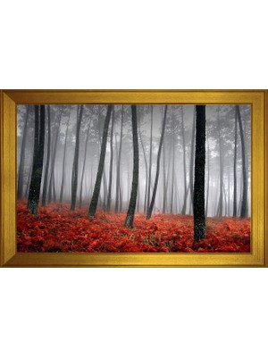 DB Sanat Manzara Temalı Kanvas Tablo