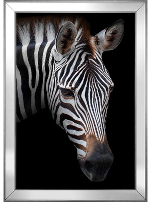 DB Sanat Hayvanlar Temalı Kanvas Tablo