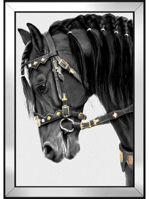 DB Sanat Hayvanlar Temalı Kanvas Tablo