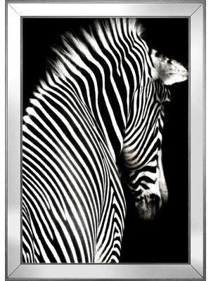 DB Sanat Hayvanlar Temalı Kanvas Tablo