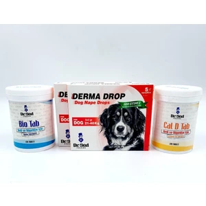 Dr. Sed 21 40 kg Köpek Ensedamla 2 Kutu + Biotin ve Kalsiyum Takviyesi
